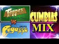 ✨Cumbias Inmortales Mix - Grupo Pegasso Y Pega, Pega De Emilio Reyna Y Grupo Toppaz