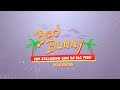 MIX BAD BUNNY ( SOLO ÉXITOS 🐰🔥) -  DJ DLC PERÚ