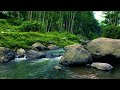 Tranquil River Scene: Crystal Clear Water And Serene Flowing Stream