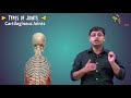 Types of Joints - The structure of Skeleton and Bones