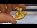 DTGT Detecting The Golden Triangle - Australia Day Monster Nugget ;)