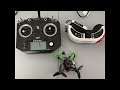 FPV larva