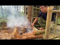 Thatch Roof House: Full Bushcraft Shelter Build with Hand Tools and grill food