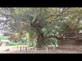 【月讀神社】　の巻。　茨城県つくば市樋の沢