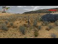 WolfQuest 3 Early Access: A Kill Seized by the Lamar Canyon Pack - Locust's Quest #2