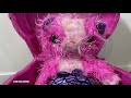 New! Scruff-a-Luvs Mermaids with Color Change! From Scruff to Fluff Unboxing!