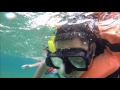Snorkeling in Puerto Morelos Reef National Park
