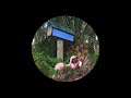 Flamingosis - Mood Provider Vol. 4 (Full Mixtape)