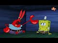 SpongeBob | Alle Haustiere & Tiere in Bikini Bottom! | 80 Minuten-Compilation | Nickelodeon