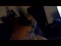 Cutest dog howling with the sirens
