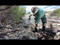 Gold Panning and Sluicing in Fairplay Colorado July 2022