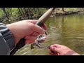 OUT-FISH EVERYONE This Trout Season With This SECRET TECHNIQUE (Works Everytime)