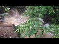 Boulder Flood Part 5