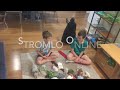 Stromlo Online 2