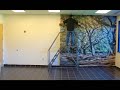 ORACAL USA - Indoor Wall Mural Installation