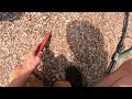 LIVE Metal Detecting NEW LOCATION! | Minelab X-TERRA Pro Metal Detector V8X Coil!