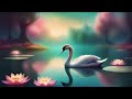Floral and Nature TV art screensaver wallpaper | No sound | 30 minutes |  Decorating Beautifully TV