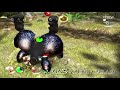 Dissy Plays Pikmin Pt5: Beatles, Birds, frogs and fire dead frogs are what I desire.