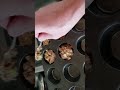 Easy peasey banana apple walnut muffins part 2 of 3