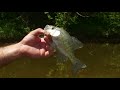 Crappie Fishing on the Mighty Ohio River