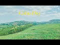 Calm Day Music- Why don't you relax in nature? [ indie folk chill playlist ]