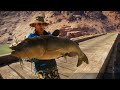 Big Larry Legendary Catfish - Call Of The Wild theAngler