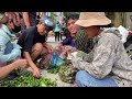 Pao and Sua harvest lemons to sell - collect pebbles from the stream to pave on the front porch