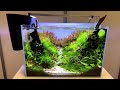 TWENTY OF THE BEST NANO AQUASCAPES! 2022 Aquaflora Nano Aquascaping Contest