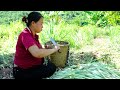 Being followed by the child's mother - Picking lemongrass to sell at the market _ Phuong family life