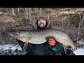 PIKE FISHING IN THE SPRING - 8 KG PIKE AND A BIG PILE OF SMALLER FISH