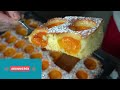 Delicious treat that melts in your mouth! Best recipe for apricot cake
