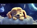 All Your Worries Will Vanish When You Watch This Video - Cute Animals, Sleep Music, Relaxation Music