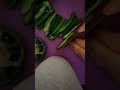 How to cut Bell Peppers 🫑 The easiest way!  TEST VIDEO!  How to...