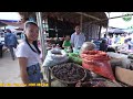 Chợ Phiên Người Thái Thanh Hoá Giáp Biên Giới Lào - Chợ Phiên Phố Đoàn Bá Thước