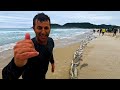 Pesca da Tainha | Episódio 3 - Lanço