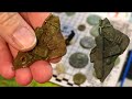 Wow Great Finds - Constantine & King George - Metal Detecting - Nokta Legend - Nox 800 - Roman