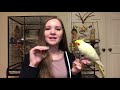 How to Teach Your Bird to Fly to You! | Parrot Flight Recall Training