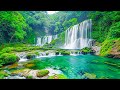 Relaxing Piano Music 🌿Listen to this music and you will feel better, Mental and Emotional Healing