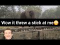 THE ELEPHANT THREW A STICK AT ME WHEN I WAS VLOGGING😳😂I GOT SCARED AND RAN AWAY😳😳#africa #adventure