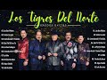 Los Tigres del Norte ~ Celebrando a Los Tigres del Norte con su Mejor Música#lostigresdelnorte
