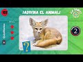 El Gran Quiz de Animales – Adivina 111 animales en 3 segundos  / fácil, medio, difícil
