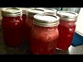 Strawberry Lemonade Concentrate for Canning - March Canning Madness