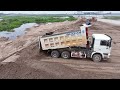 Just New Project!! Use Dozer SHANTUI DH17c2 Landfill Up Pour soil, pour sand With Dump Trucks 5T,25T