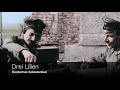 [German Military Song] Drei Lilien -English translation-