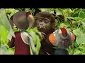 Kids & Baby Learning Video GORILLA  Animals for children