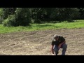 How to drain a wet food plot or field