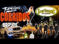 Corrido Bravos 2024 🤠 Los Tucanes De Tijuana Lo Mejor ➕ Rolas Chingonas