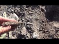 Lot Of Copper Metal Detecting Central Mine In The Michigan UP