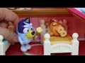 BLUEY, Be Careful: Learn About Safety with Bluey, Bingo and Friends! - Learning Videos For Kids!