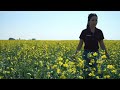 Canola School: Leveraging weather station data for better crop management